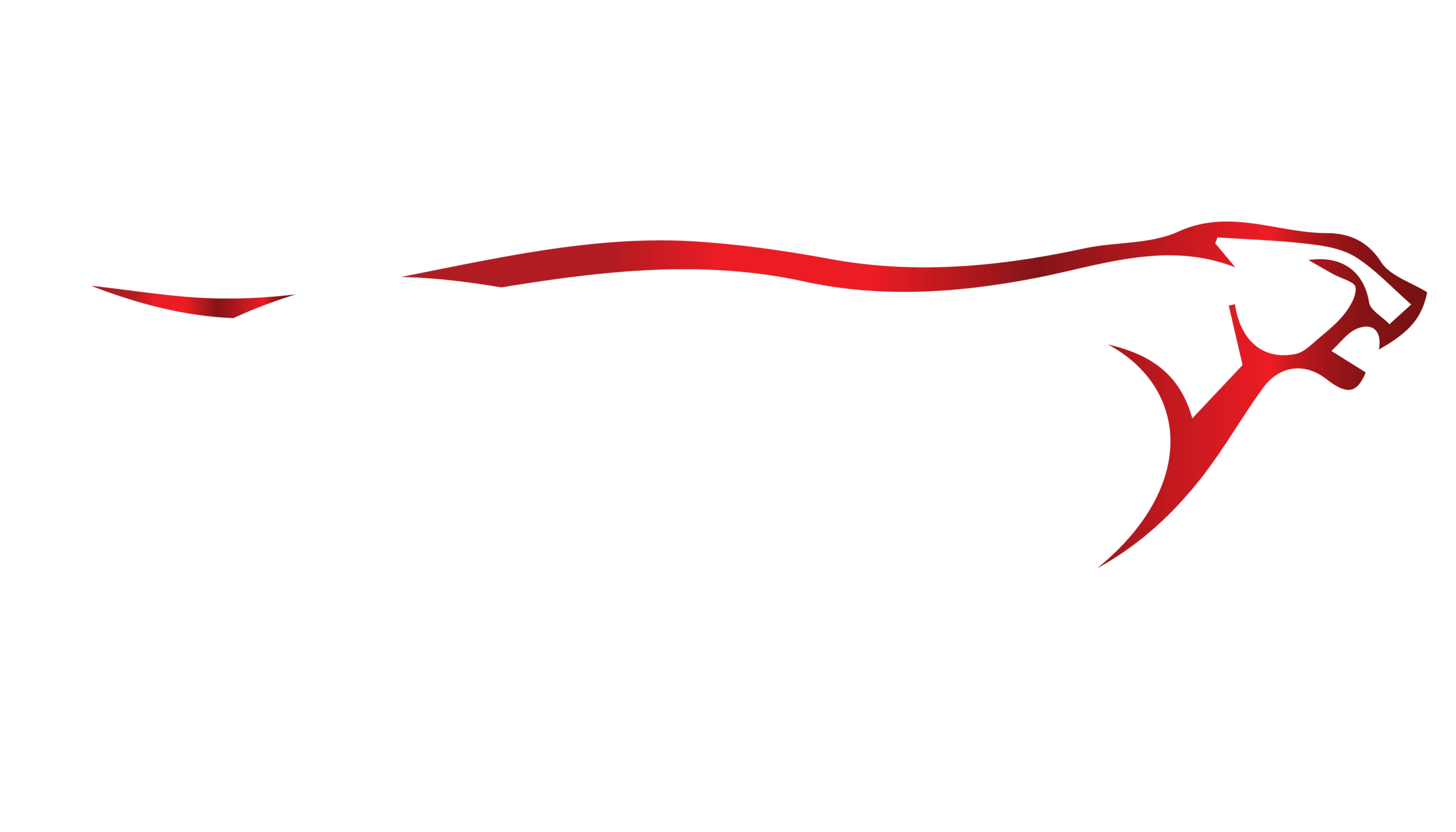 ايشاد المغربي للتجارة والاستيراد والتصدير